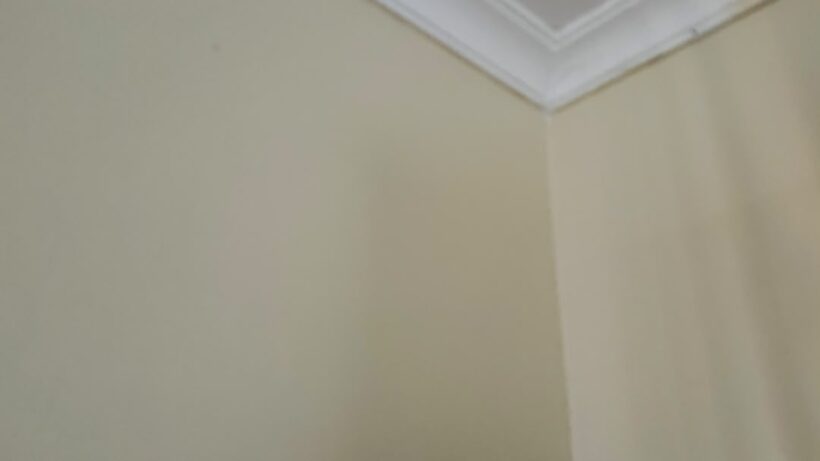 House Painting Services in Kiambu: Professional Painters